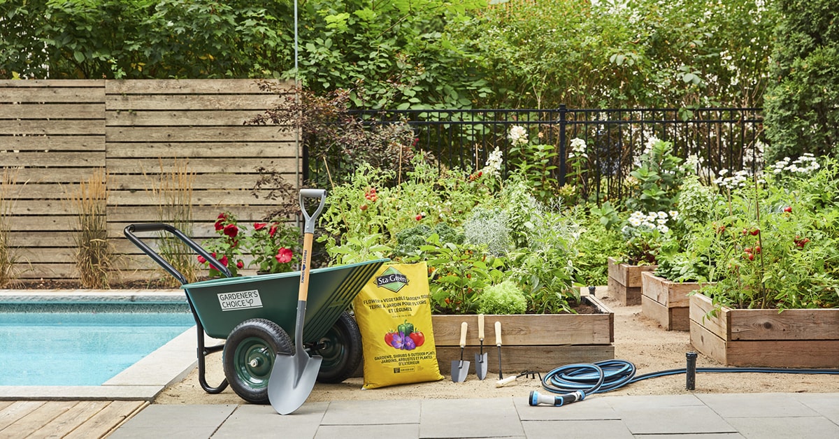 Jardinage 101: utilisation du compost dans votre jardin