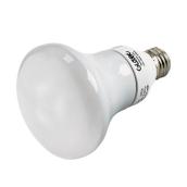 15-W CFL Lightbulb