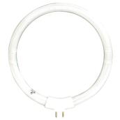 Circular Compact Fluorescent