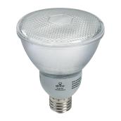 15-W CFL lightbulb