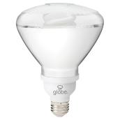 CFL BR38, 23 W