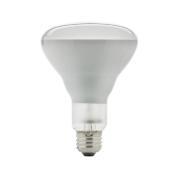 43-W BR30 Halogen Flood Lightbulb