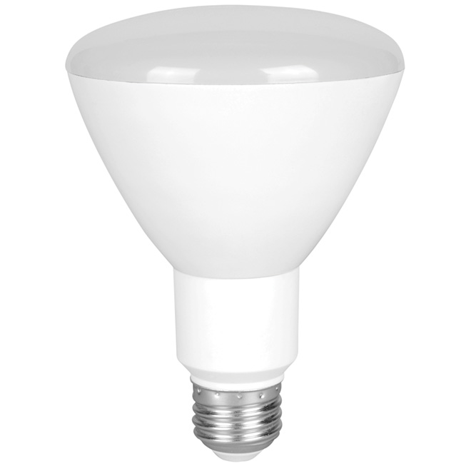 Ampoule DEL 10W