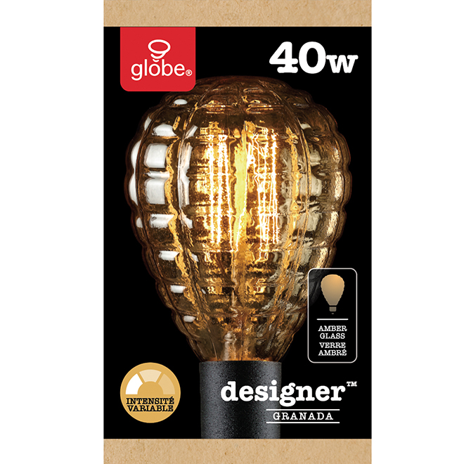 Ampoule Edison G E26, intensité variable, blanc doux, PK1 RONA