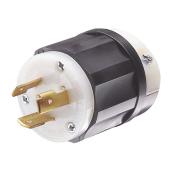 Locking plug      