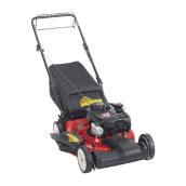 21-in Gas lawnmower