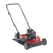 21-in Gas lawnmower