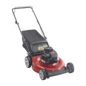 21-in Gas Lawnmower