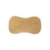 Sponge            