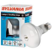 65BR30/FL/RP reflector         