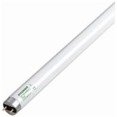60-W Fluorescent light