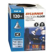 HALOGEN BULB 120W