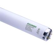 FLUORESCENT T12