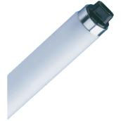 FLUORESCENT TUBE