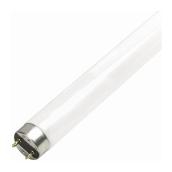 FLUORESCENT LINÉAIRE