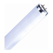 FLUORESCENT LINÉAIRE
