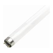 LINEAR FLUORESCENT