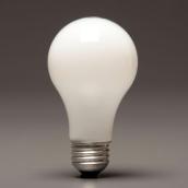 DOMESTIC BULB