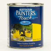 Multi-purpose paint