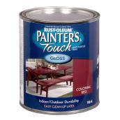 Multi-purpose paint