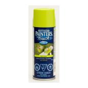 Paint - All-Purpose Paint     