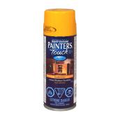 Paint - All-Purpose Paint     