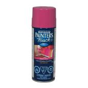 Paint - All-Purpose Paint     