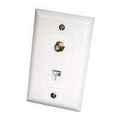 Video and telephone wall plate     