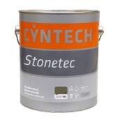 Decorative stone coat