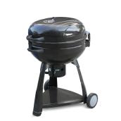 Barbecue au charbon de bois