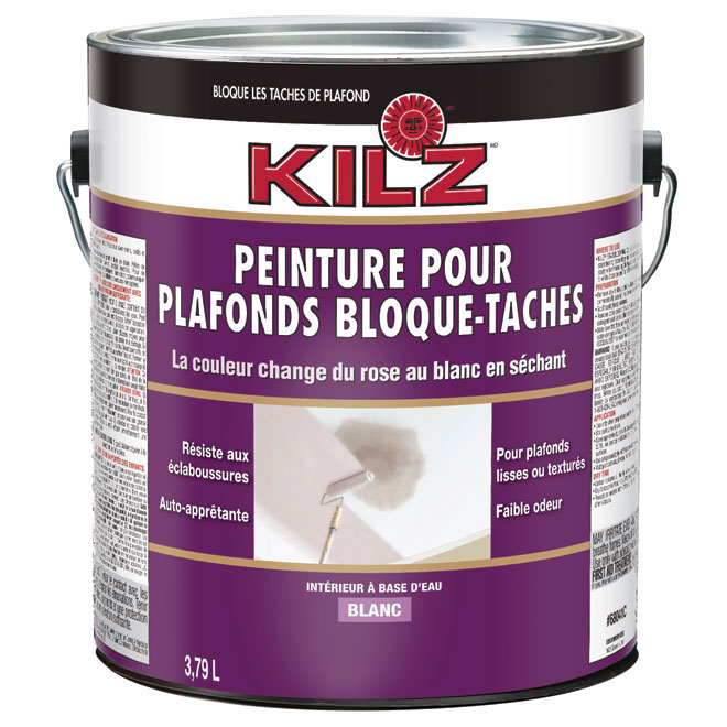 Decoration Chambre Gris Et Bleu : Peinture bloquetaches pour plafond RONA Decoration Chambre Gris Et Bleu : Peinture bloquetaches pour plafond RONA