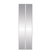 Mirror door