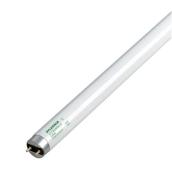 Tube fluorescent 32 W    