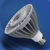 LED BULB