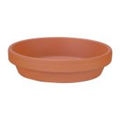 Saucer   
