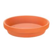 Saucer   
