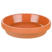 Saucer     