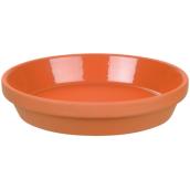 Saucer     