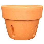 Orchid pot