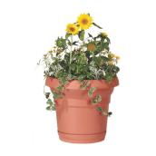 Flower Pot - 