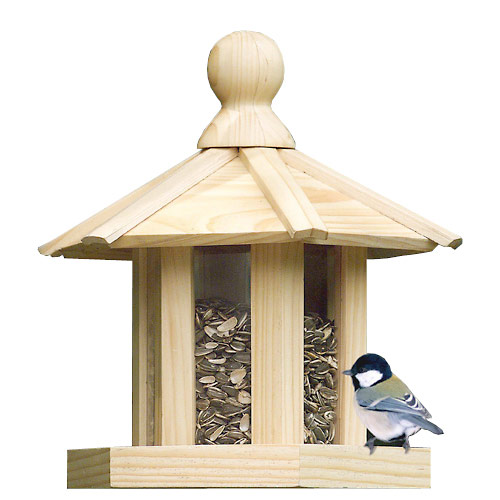 Bird House Plans