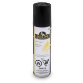 Recharge de butane pour allumeur de barbecue