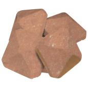 Briquette pour barbecue