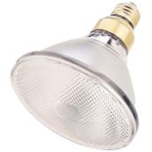 Halogen Floodlight