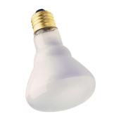 Lightbulb - 65-W Incandescent Lightbulb        