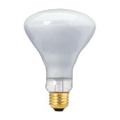 Lightbulb - 65-W Incandescent Lightbulb      