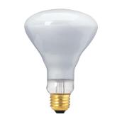 65- W Incandescent Lightbulb