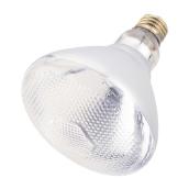 BR38 Incandescent Reflector