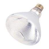 BR38 Incandescent Reflector