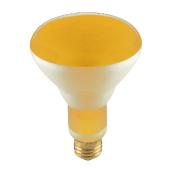 Reflector - BR30 Incandescent Reflector